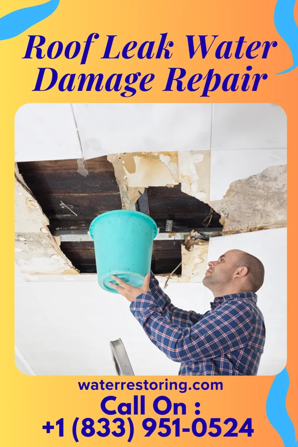 Roof Leak Water Damage Repair in Canyon Creek, WA