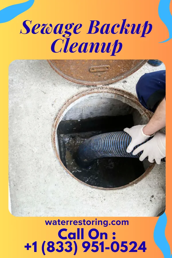 Sewage Backup Cleanup in Canyon Creek, WA