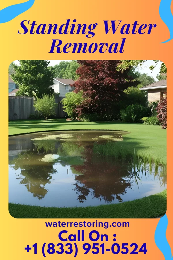 Standing Water Removal in Canyon Creek, WA